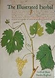 The illustrated herbal