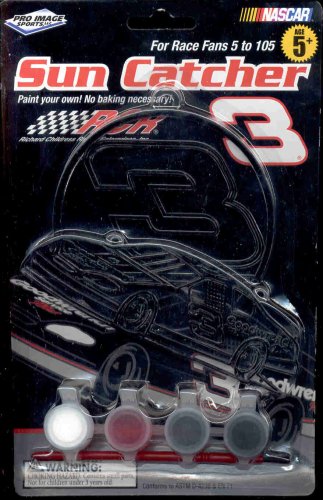 NASCAR Paint By Numbers