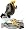 DeWalt - DW713R - 6