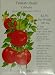Outdoor Living : Tomato Bush Celebrity Seeds