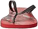 Havaianas Men's Bravo Sandal Flip Flop