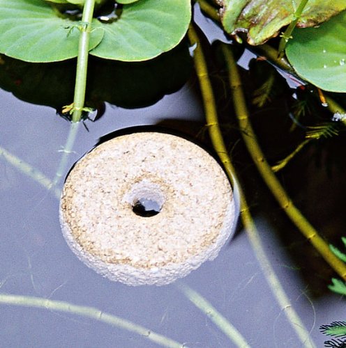 Mosquito Dunks (20 Pack)