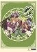 Negima: Box Set