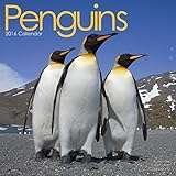 Penguins Calendar - 2016 Wall calendars - Animal Calendar - Monthly Wall Calendar by Avonside