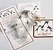 Ann Clark Penguin Cookie Cutter
