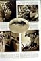 1950 SHRIMP TUNISIA ZOOLOGISTS OXFORD ARABS SCIENTIST