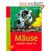 M�use: neugierig - munter - fit