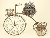 Country Style Metal Bicycle PLANTER STAND Set of 2