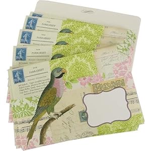 Parakeet Cavallini Set of 8 decorative envelopes with window