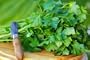 Parsley Italian Flat Leaf Certified Organic Seeds