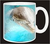Review Advanta  / DOLPHIN Close-Up Coffee Mug