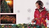 4' x 6' Multi-Color 150 Mini Twinkling Net Style Christmas Lights - Green Wire