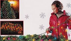 4' x 6' Multi-Color 150 Mini Twinkling Net Style Christmas Lights - Green Wire