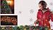 4' x 6' Multi-Color 150 Mini Twinkling Net Style Christmas Lights - Green Wire