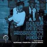 Blues in the Mississippi Night