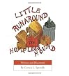 Little Runaround The Homeless Hound