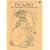 Picasso Line Drawings and Prints (Dover Art Library)