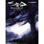 Staind: Break the Cycle book cover
