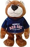 Boston Red Sox Animated Plush Bear