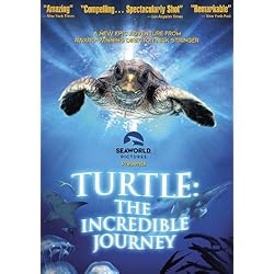 Turtle: The Incredible Journey