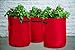 Tierra Garden 50-1050 Haxnicks Tomato Patio Planter and Grow Bag, 3-Pack