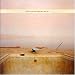 Lloyd Cole & the Commotions 1984-1989