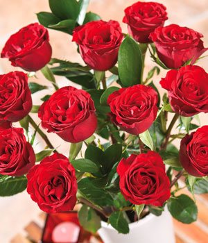 12 Red Roses