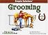 Grooming (Horse Illustrated Simple Solutions)