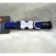 Red Dingo Dog Collar, Medium, Blue