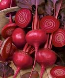 Bulls Blood Beet Seeds - Beta Vulgaris - 4 Grams - Approx 160 Gardening Seeds - Vegetable Garden Seed