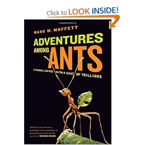 Adventures Among Ants: A Global Safari with a Cast of Trillions