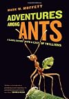 Adventures Among Ants
