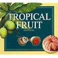 Tropical Fruit