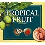 Tropical Fruit