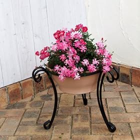 [�x���c���A�EBells More]�t�����[�X�^���h�FYWS-350�@�V���v���ŗ͎����I[���a31cm�@����35cm]