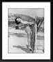 Anne Bancroft Framed And Matted 8x10 B&W Photo (Jungle Gym)