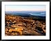 Cadillac Mountain Summit, Early Morning, Acadia National Park, Maine Places Framed Photographic Poster Print by John Elk III, 39x31