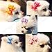 Blyyasgi® Wholesale Lots Rubber Band Hair Bow Headdress Flower for Puppy Dog Pets Gift (10 pieces)