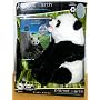 Planet Toys Planet Earth Large Plush Animals with unseen footage DVD Assortment - Giant Panda
