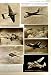 1952 Helicopter Turbojet Aircraft Vampire Hercules