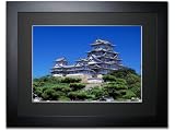 《オリジナルプリント》姫路城と松（兵庫県/姫路市）〔世界遺産・姫路城〕
