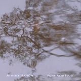 Punk Acid Blues Ep