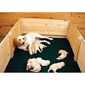 Whelping Box Liners - 48" x 50"