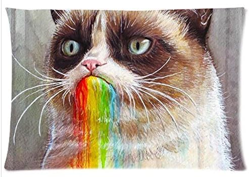 1AlexStore Pillowcase Standard 20x30 Inch two Sides Zippered Pillow Cover Grumpy Cat I Want to Say No (2)