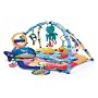 Baby Einstein Baby Neptune Ocean Adventure Gym