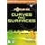 Focus On Curves and Surfaces (Focus on Game Development)