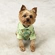 MEDIUM - Paisley Puppy Polo - Stylish Dog Shirt
