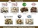 Whole Life Dog Just One Chicken Freeze Dried Dog Treats - Human Grade High Protein Food, Healthy Training Snacks, Freeze Dried Food Toppers, USA Made Natural Treats - 4 oz (Value Pack of 1)