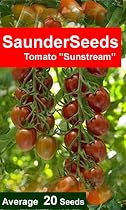 Tomato seeds SunStream Strawberry Shape mini plum with an amazing flavour 20 seeds per pack
