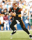 CARSON PALMER,CINCINNATI BENGALS,USC TROJANS,HEISMAN,FOOTBALL,SIGNED,AUTOGRAPHED 8X10,PHOTO,COA